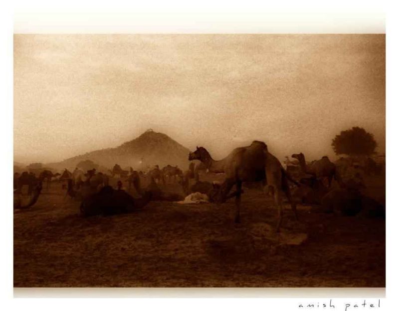 pushkar in sepia mood.jpg